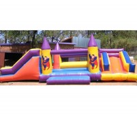 Castle with 2 Slides