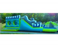 Dolphin Adventure 