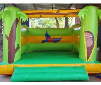Tropical Bouncer 